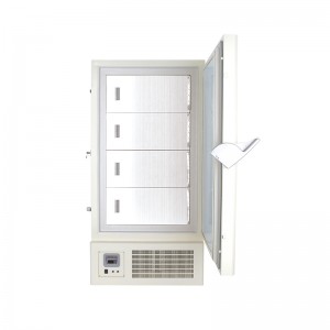 Ultra Low Temperature Freezer