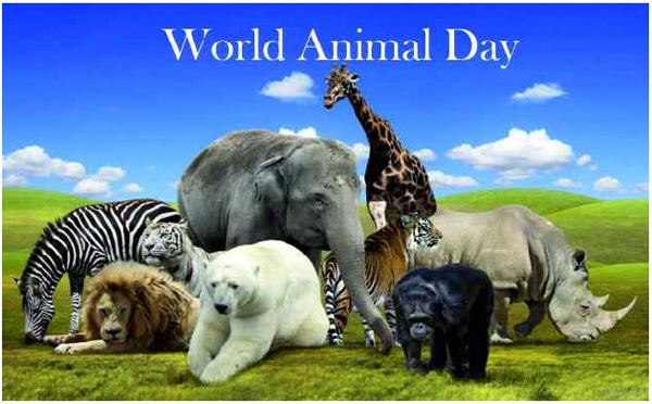 2021 年世界动物日 10 月 4 日