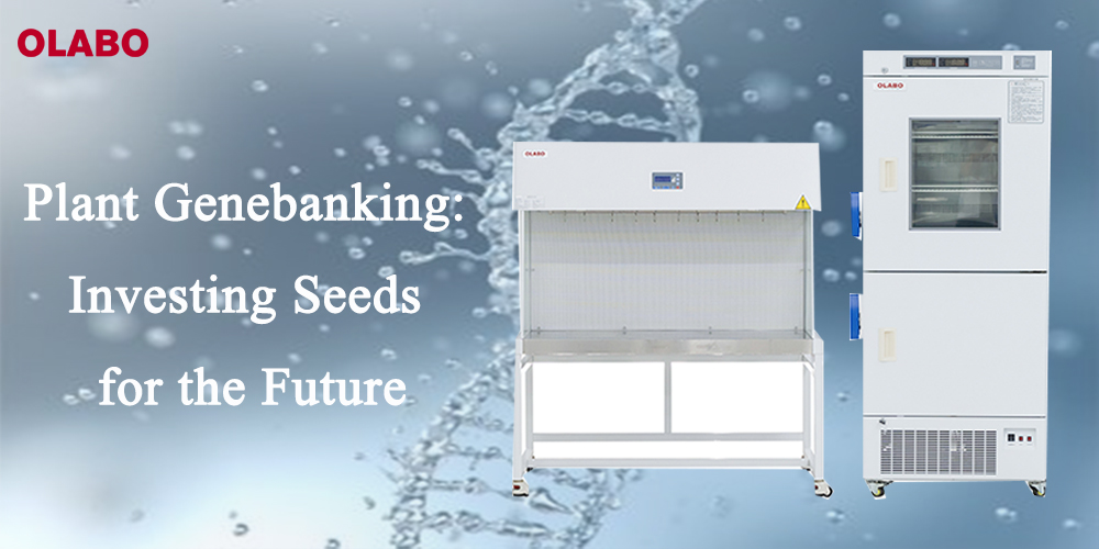 植物基因库：为未来投资种子